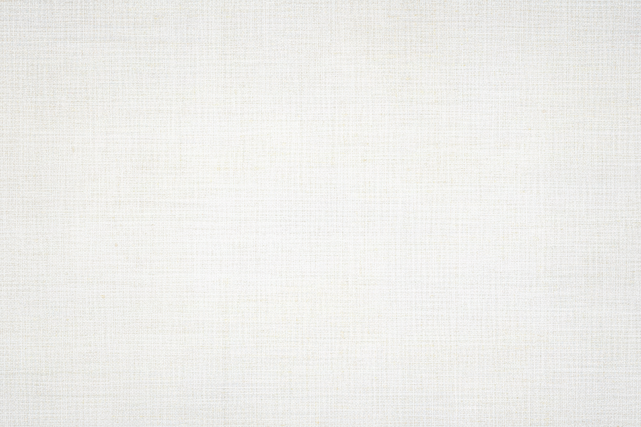Collector's Edition — Light Canvas Texture